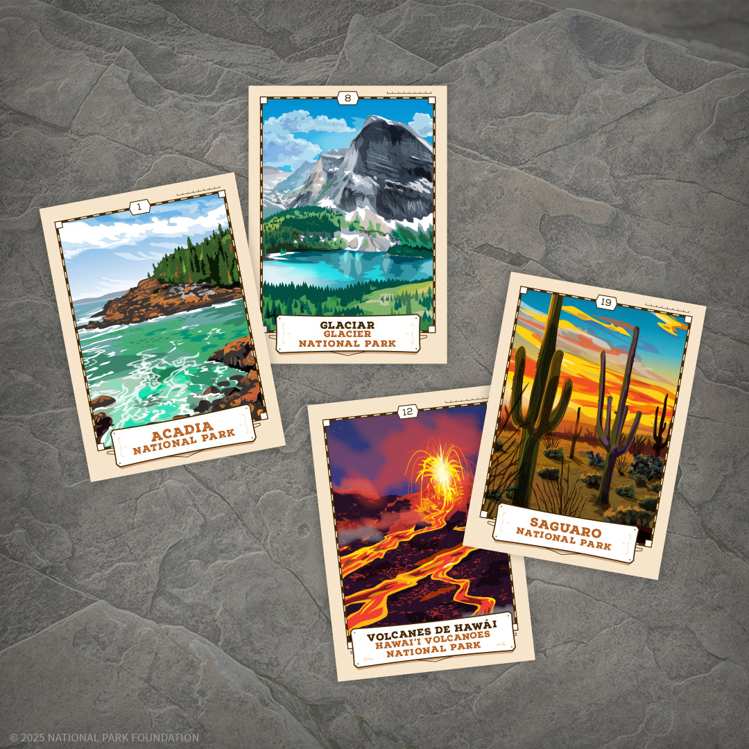 Lotería: National Parks
