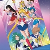 Sailor Moon: "Sailor Guardians" 1,000 Piece Puzzle